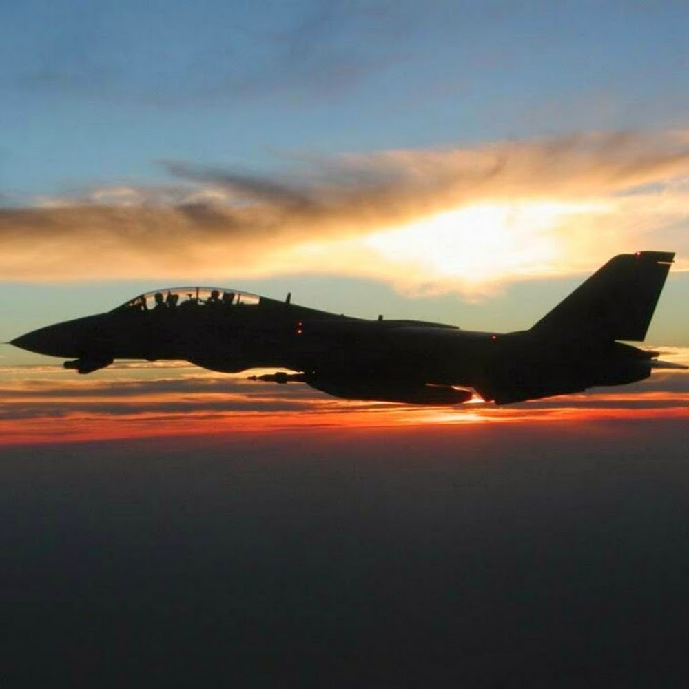 Meet your Posher, Shaun